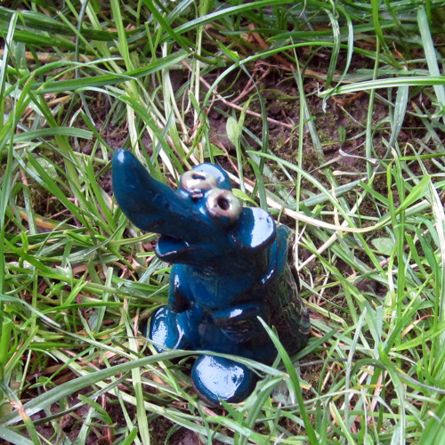 Myš — foto 2