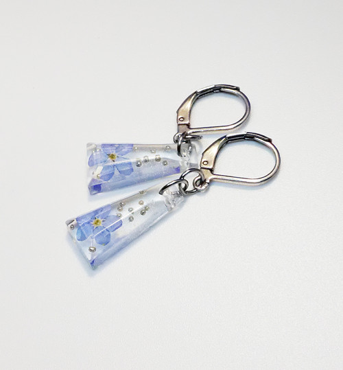 Pomněnka lesní — foto 2