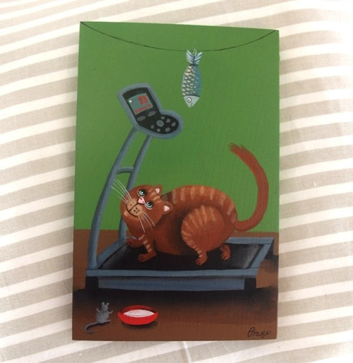 Catfitness — foto 2