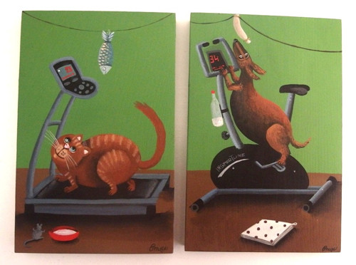 Catfitness — foto 4