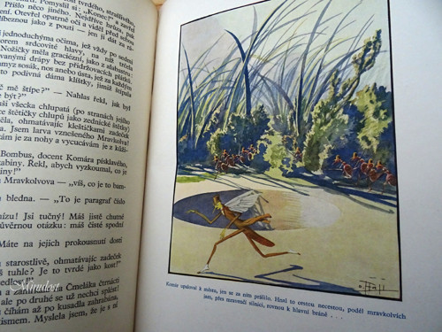 Komár dělá vědu — foto 4