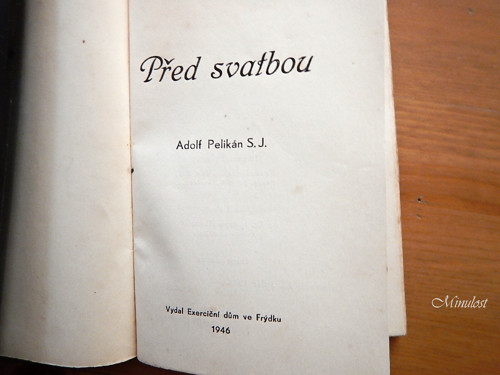 Před svatbou — foto 2