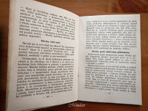 Před svatbou — foto 3