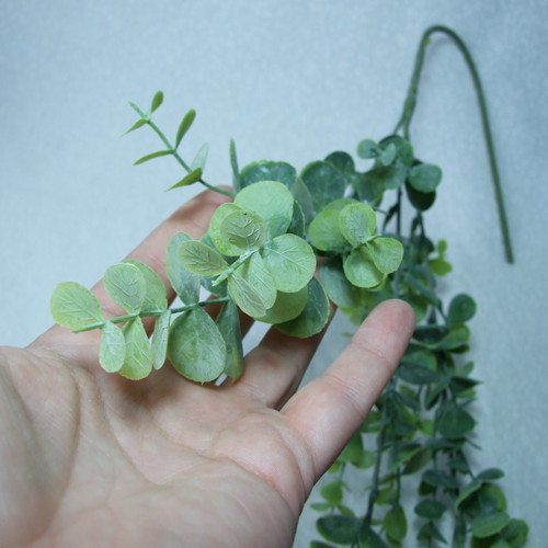 Eukalyptus 60 cm — foto 3