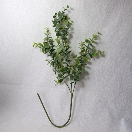 Eukalyptus 60 cm — foto 2