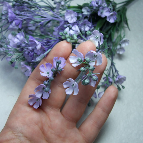 Řeřišnice fialová — foto 2