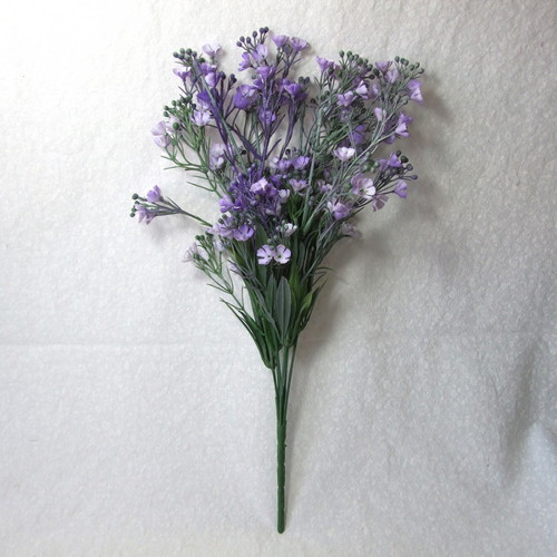 Řeřišnice fialová — foto 3