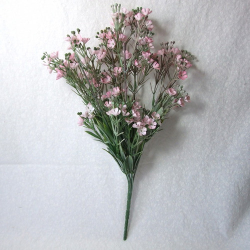 Řeřišnice růžová — foto 3