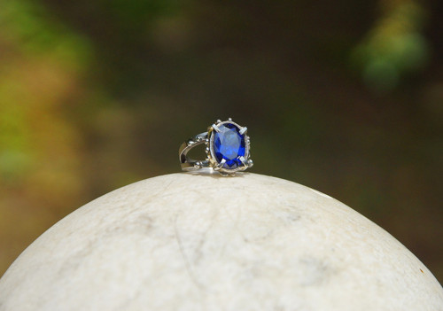 Nerezový prsten ...." Blue Queen " — foto 5