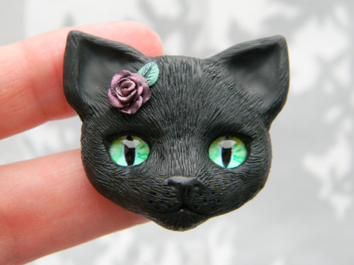 Kitty — foto 3
