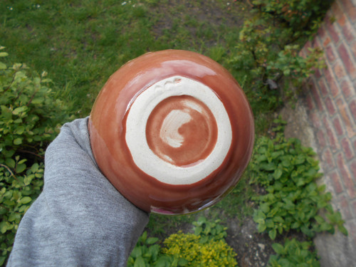 Miska hnědá — foto 2