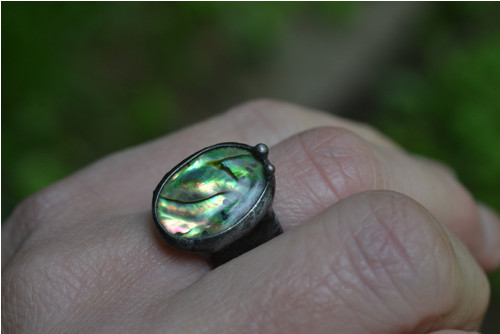 Paua.. — foto 2