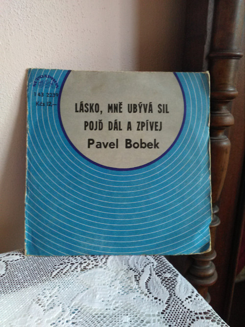 SP - Pavel Bobek — foto 2