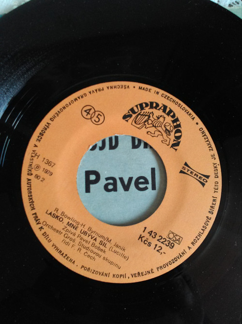 SP - Pavel Bobek — foto 4