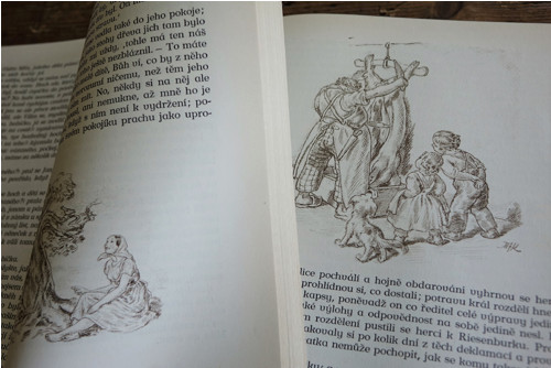 Babička ... ilustrace M.F. Kvěchová — foto 5