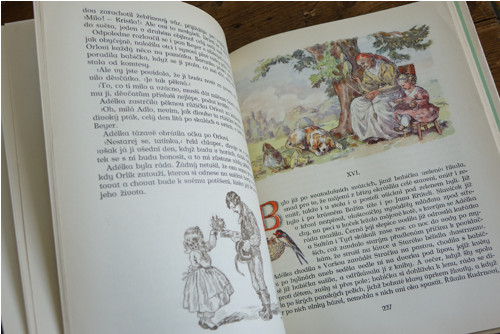 Babička ... ilustrace M.F. Kvěchová — foto 6