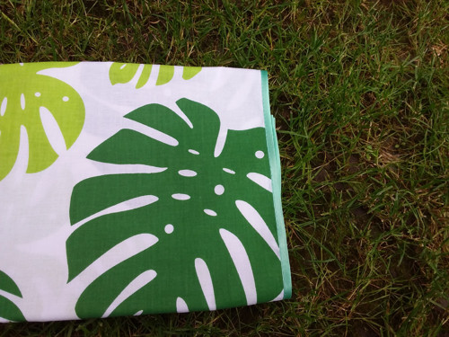 Běhoun velké listy monstera — foto 4