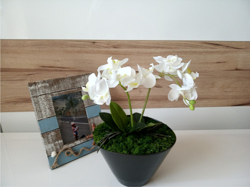 Orchidej... — foto 2