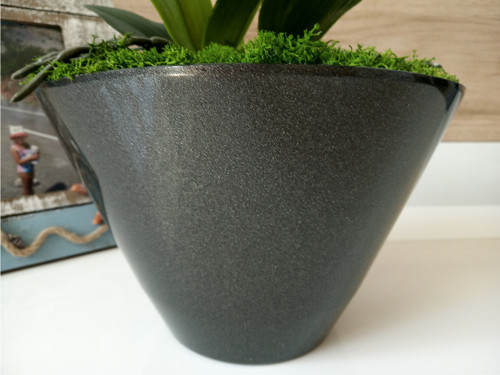 Orchidej... — foto 4