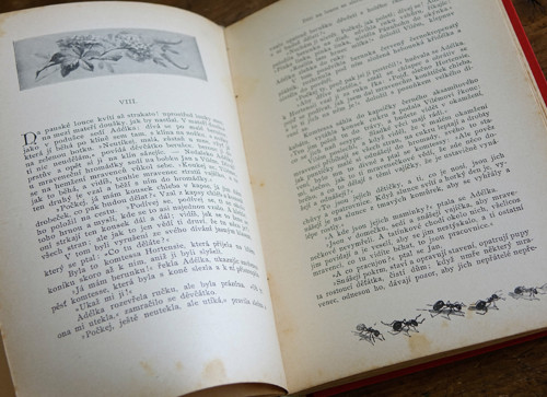 Babička ... r. 1900 ... šest ilustrátorů — foto 6