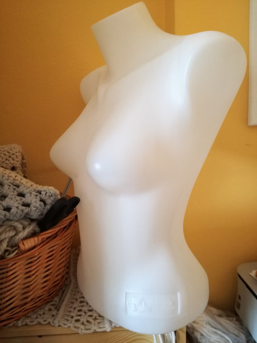 Dámské torzo — foto 3
