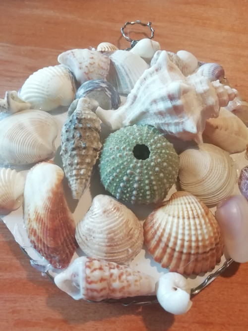 Dekorace z mušlí — foto 2