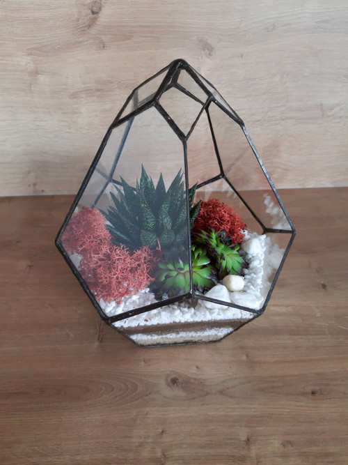 Florarium — foto 3