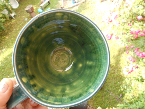 Lví tyrkysový. 550 ml — foto 5
