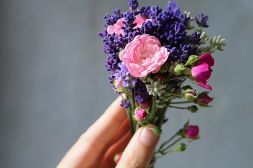 Vonička / levandule a růžičky ... — foto 2