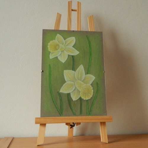 Narcisy — foto 2