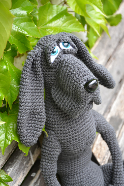 Pes Sherlock — foto 3
