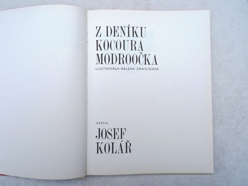 Kocour Modroočko — foto 3