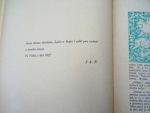 BAMBI — foto 3