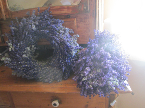 Levadulová sada — foto 2