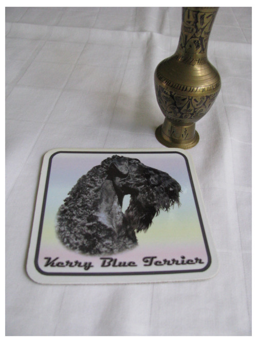 Podtácek s kerry blue teriérem — foto 2
