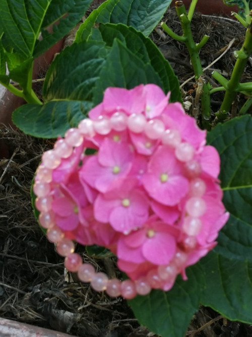 Náramek z minerálů - jadeit cherry — foto 5