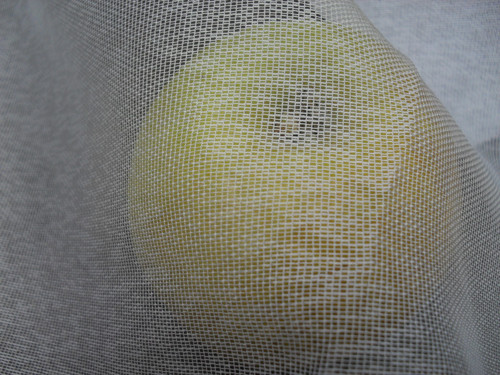 * Rezervace - sada ekopytlíků * — foto 2