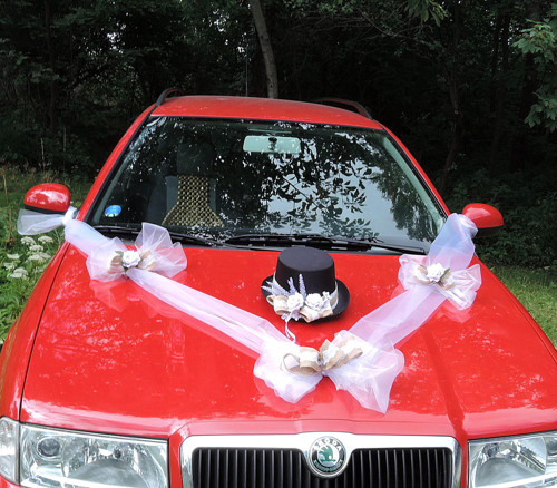 Sada na auto pro nevěstu a ženicha — foto 5