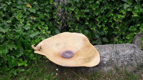 Pítko nebo krmíko — foto 2