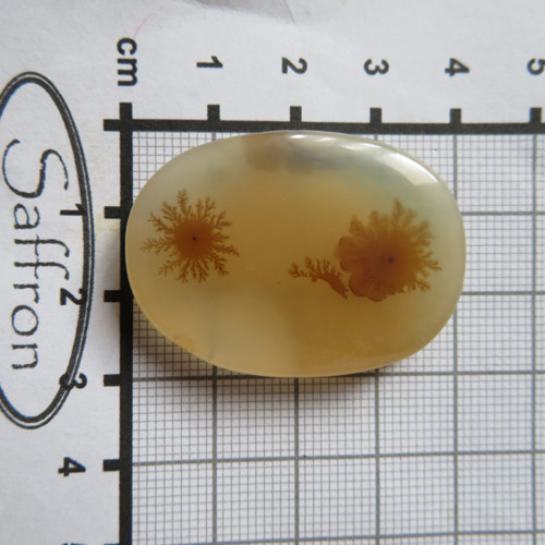 Dendritický chalcedon Madagaskar XXL č.A7 — foto 2