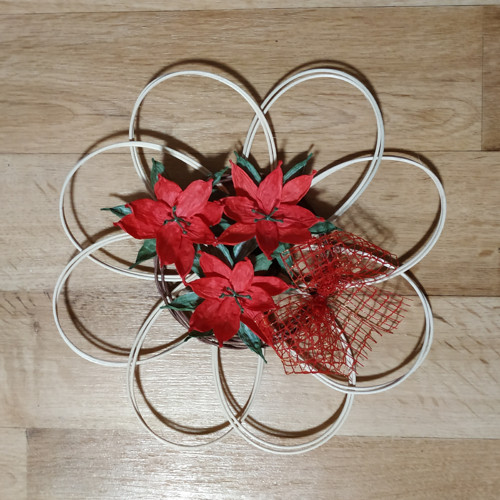 Poinsettie — foto 2