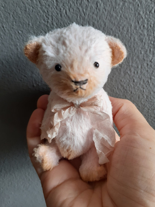 Medvídek Pidižvík — foto 2