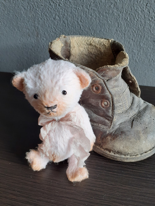 Medvídek Pidižvík — foto 3