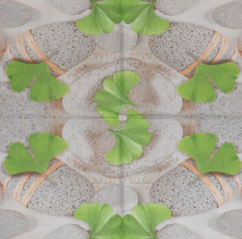 Ubrousek - ginkgo a kameny — foto 2