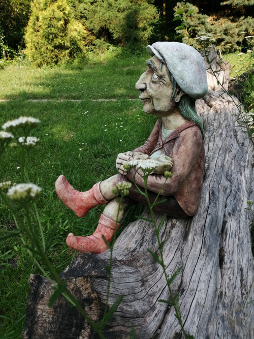 Vodník — foto 4
