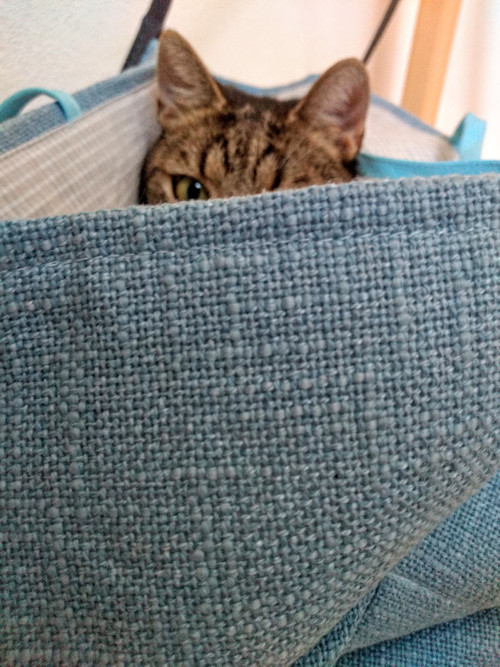 Big bag 01 — foto 4