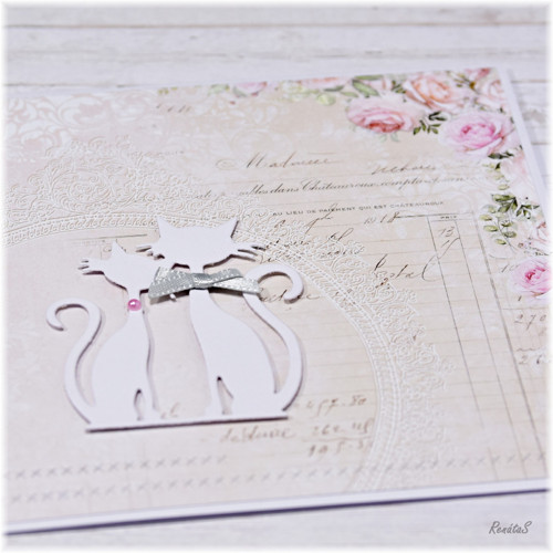 Přání - kočičí romance — foto 5