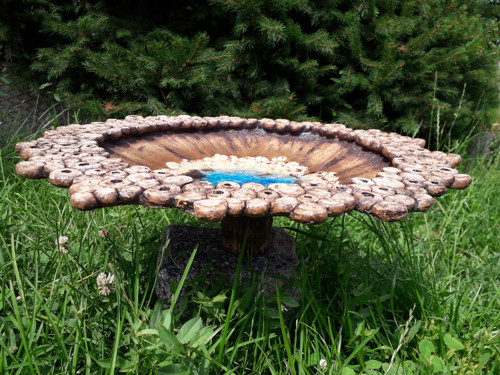 Pítko pro ptáky — foto 3