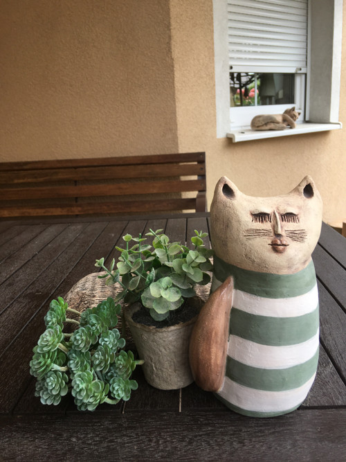 Kočka s pruhy — foto 2