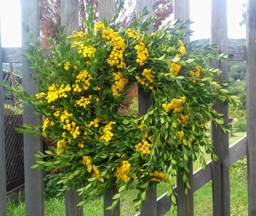 Věnec buxus s vratičem — foto 4